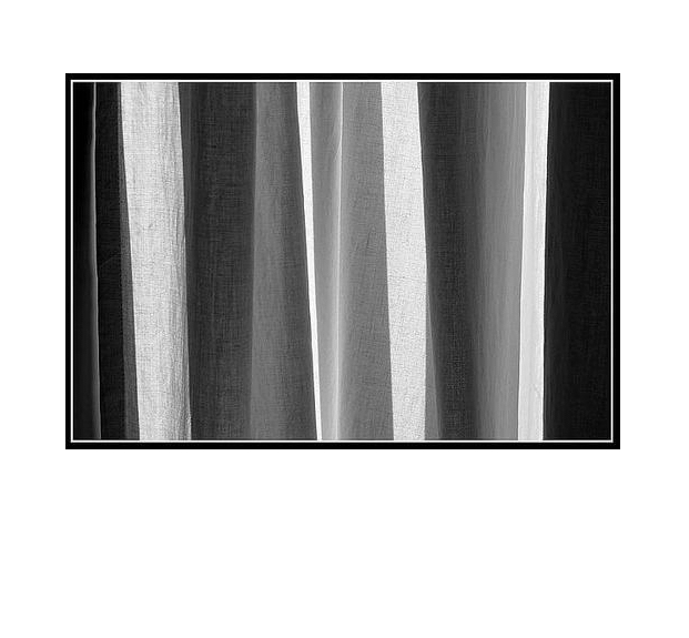 La félonie des cendres dérive vers une coulée d’oiseaux