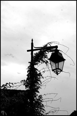 Tu t’avances dans un monde | illisible Tu t’avances dans un monde illisible