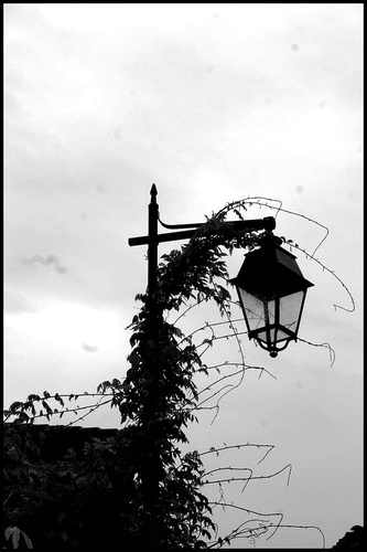 Tu t’avances dans un monde illisible