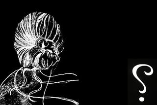 Des galaxies Des galaxies