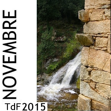 TDF NOV 2015