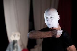 Danio_Manfredini_01 Danio_Manfredini_01