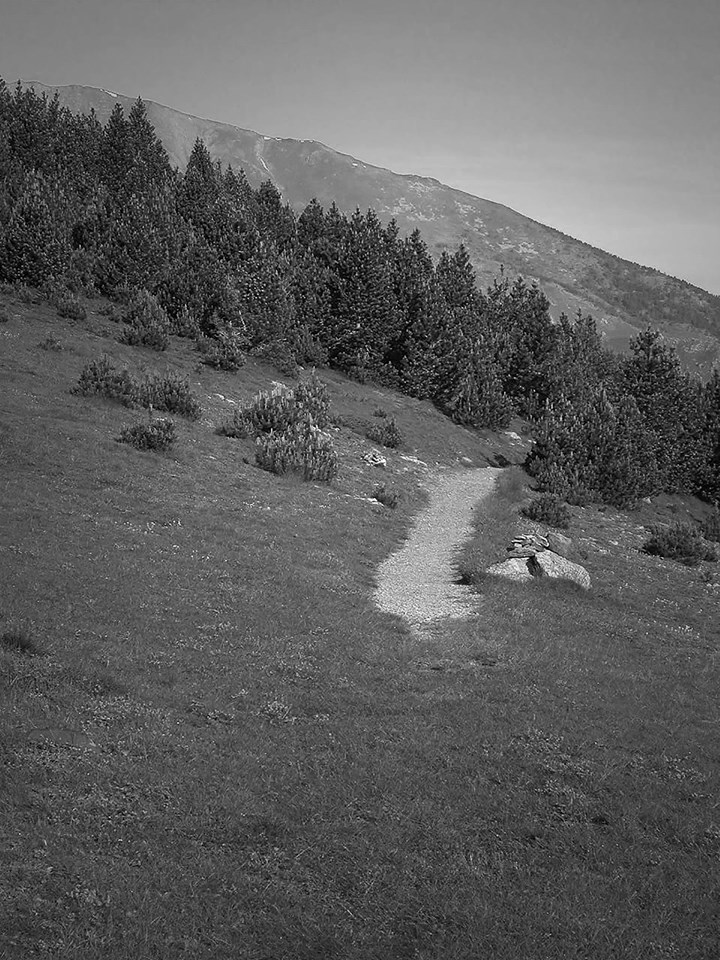 Sandrine Cnudde, Gravité, ph