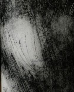 Marie Alloy, détail d'un monotype, op. cit., page 57. Marie Alloy détail 2