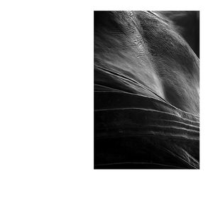 Ouvrir les brèches en visant la monochromie