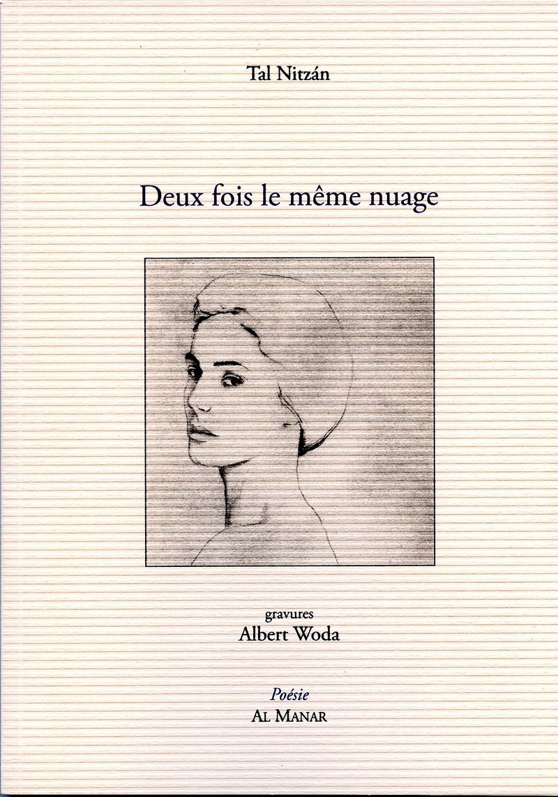 Tal Nitzan, Deux fois le même nuage