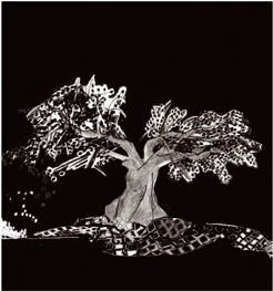 Encre de Nadège Lepot. Première de couverture du 'Jour se déplie' Bastide le jour