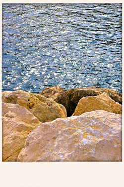 Descends à présent | vers la mer | relever les filets du jour Fleurs de pierre