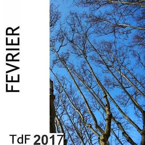 Tdf fev 2017