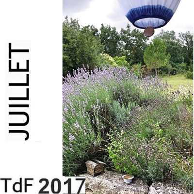 TDF juillet 2017 TDF juillet 2017