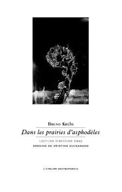 Bruno Krebs, Dans les prairies d'asphodèles, L’Atelier Contemporain, François-Marie Deyrolle éditeur, Strasbourg, 2017. Bruno Krebs Dans les prairies d'asphodèles 2