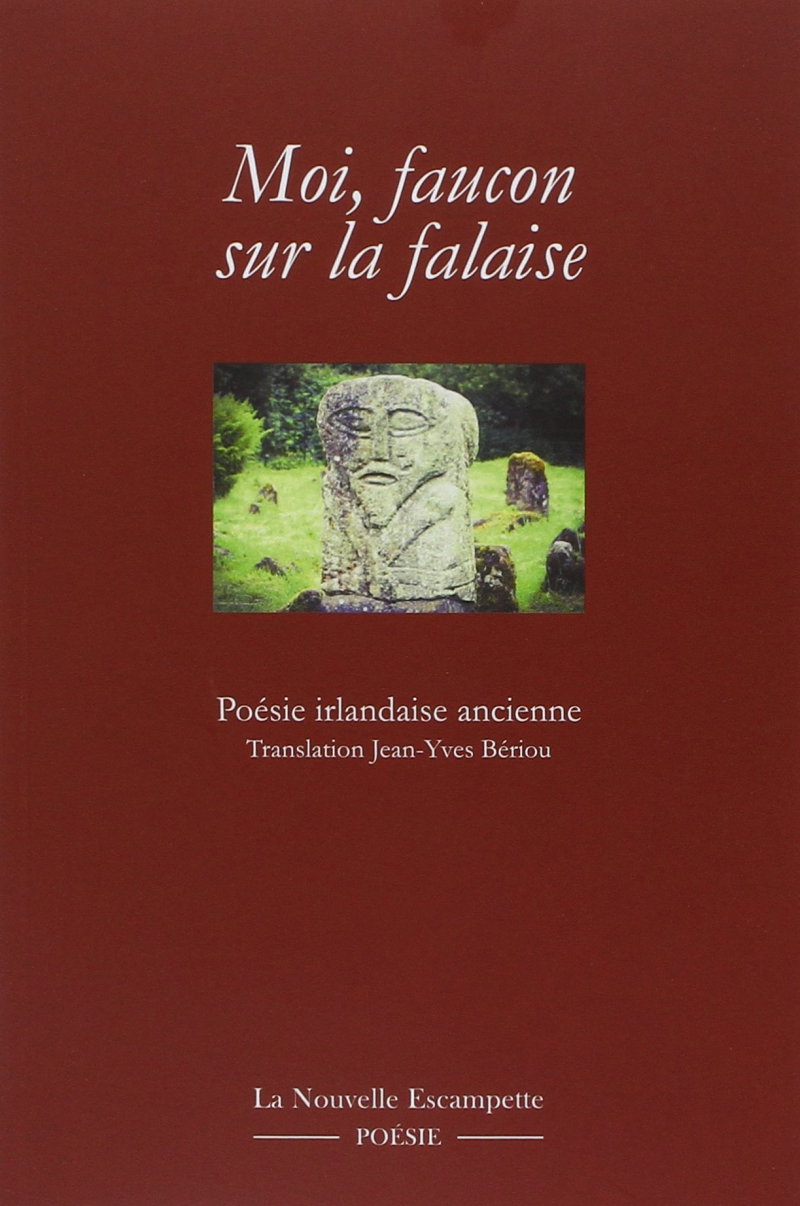 Moi  faucon sous la falaise