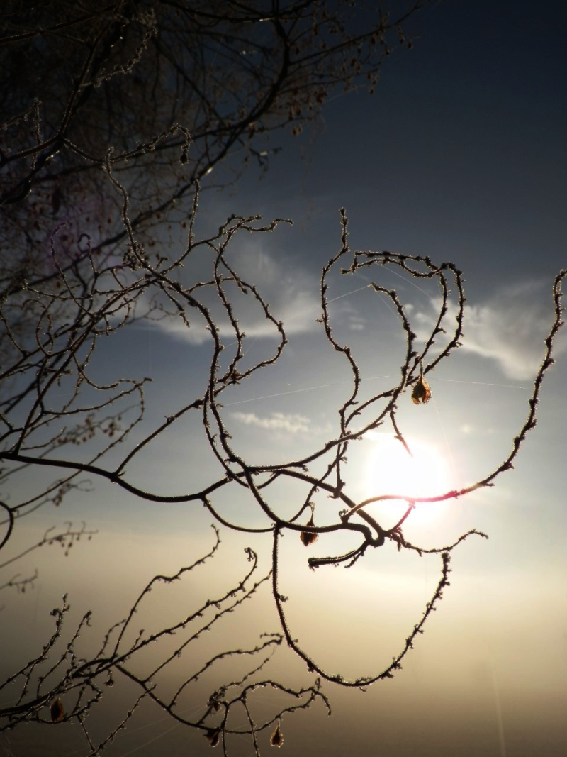 Lévesque  L'origine de l'écriture