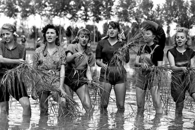 les mondine dans Riso amaro Mondine