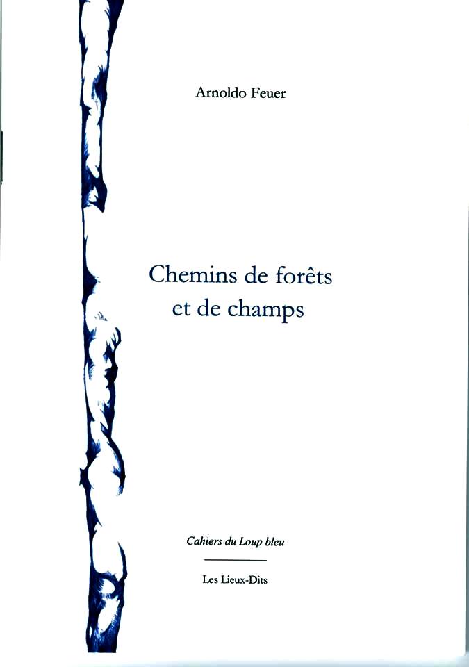 Arnoldo Feuer  Chemins de forêts et de champs