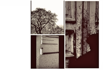 Marie-Claire Bancquart Marie-Claire Bancquart Guidu