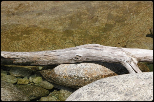 j’ai dans le corps une clarté de rivière Jurquet