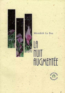 Mérédith Le Dez, La Nuit augmentée, éditions Mazette, 2019. Meredith Le Dez La Nuit augmentée