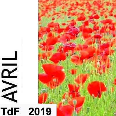 CLIQUER SUR LA PHOTO pour accéder au SOMMAIRE du numéro du mois d'avril 2019 TDF avril 2019