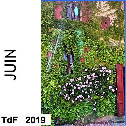 TDF juin 2019
