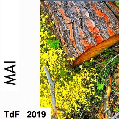 CLIQUER SUR LA PHOTO pour accéder au SOMMAIRE du numéro du mois de mai 2019 TDF MAI 2019