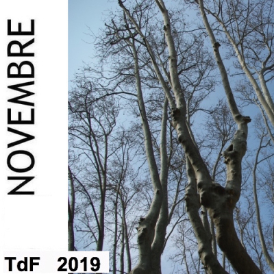 Terres de femmes n° 180 ― novembre 2019 TDF NOVEMBRE 2019