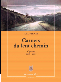 Joel Vernet, Carnets du lent chemin, Copeaux (1978-2016), Éditions La Rumeur libre, 2019. Joel Vernet Carnets du lent chemin
