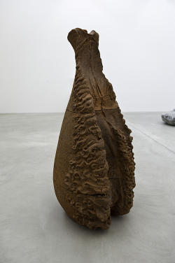 Giuseppe Penone Penone