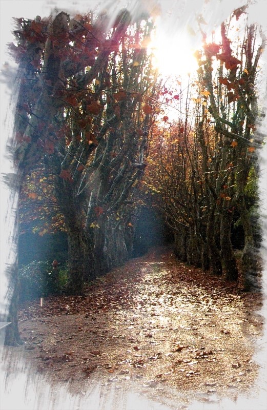 SENTIER D’AUTOMNE