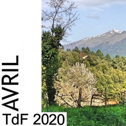 TdF n° 185 ― avril 2020 (Sommaire) TDF AVRIL 2020