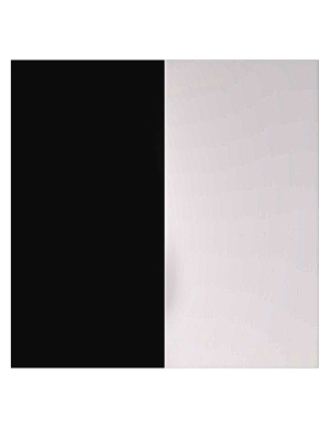 la poésie est l’expression d’une éthique antagoniste aux dogmes de l’existence NOIR ET BLANC éthique antagoniste