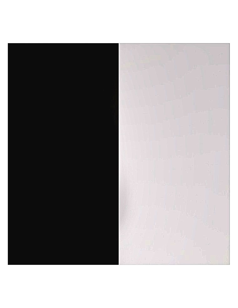 NOIR ET BLANC éthique antagoniste