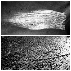 Le gris souffre. Le gris n’est pas une couleur Le gris souffre. Le gris n’est pas une couleur