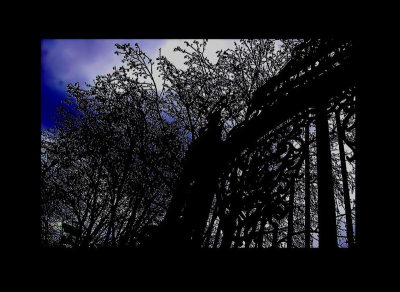 voir clair, c’est devenir aveugle. Nous sommes dans l’Apocalypse Voi clair Guidu