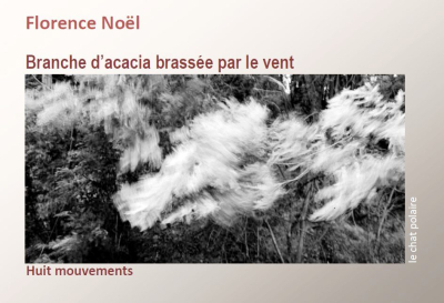 Florence Noël, Branche d’acacia brassée par le vent, Huit mouvements sur des photographies de Pierre Gaudu, Le Chat polaire, 2020. Florence N 1