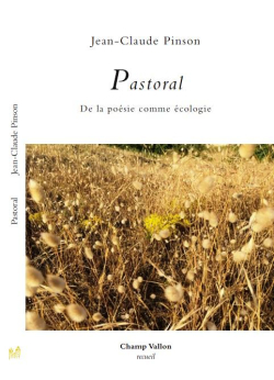 Pinson Pastoral