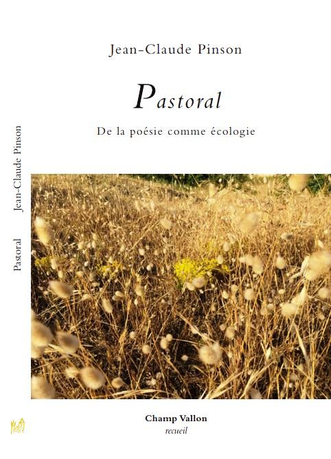 Pinson Pastoral