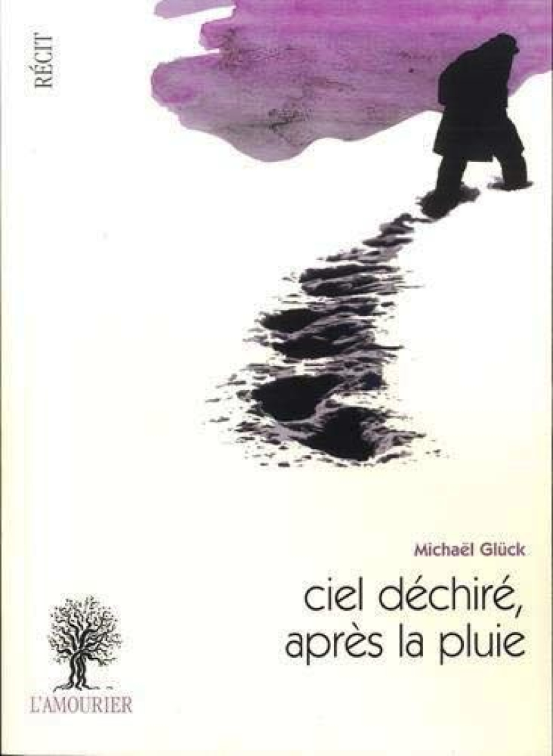 Michaël Glück  Ciel déchiré