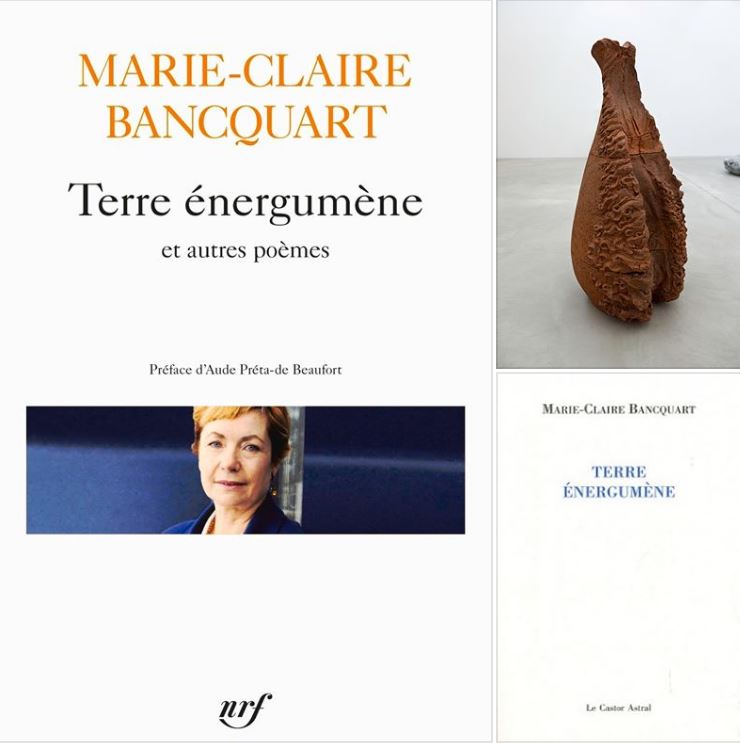 Bancquart montage Terre énergumène