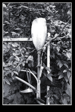 Continuer à vivre Continuer à vivre