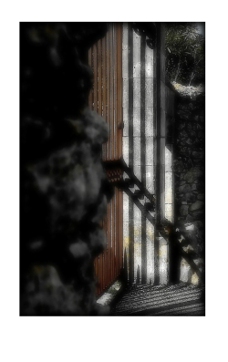 Dès l'instant où la lumière se déclare, il y a ce feu dilapidé dans le jour. Terre immobile