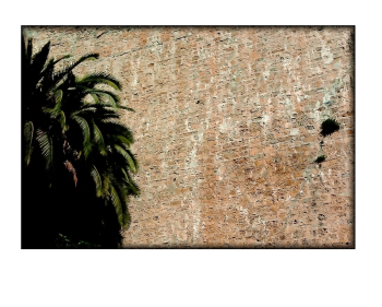 Tandis que persistent d'infranchissables murs de langage Guidu Verrey