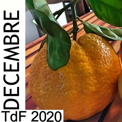 CLIQUER SUR LA PHOTO pour accéder au SOMMAIRE du numéro du mois de décembre 2020 DECEMBRE 2020