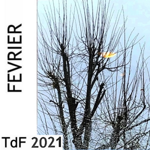TdF n° 195 ― février 2021 TDF FEV 21 2