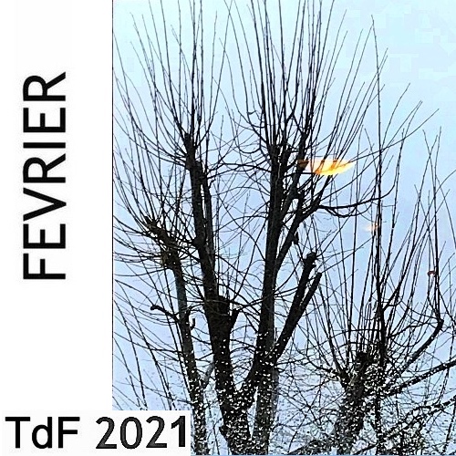 TDF FEV 21 2