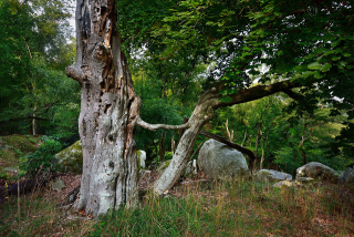 Chansonnier de Béranger