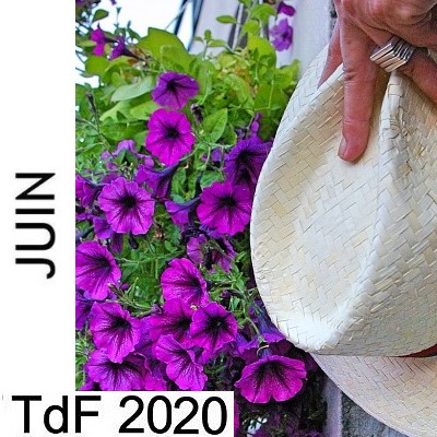 CLIQUER SUR LA PHOTO pour accéder au SOMMAIRE du numéro du mois de juin 2020 TDFJUIN 2020