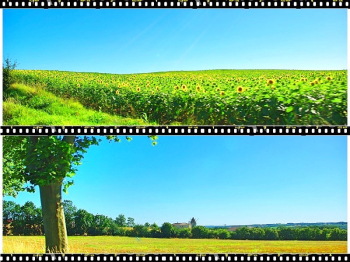 Images en fuite Images en fuite