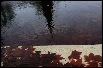 La pioggia persa Pioggia persa