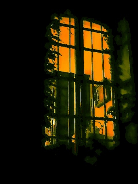 Avant les premiers oiseaux